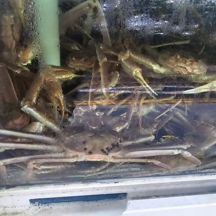 대게와친구 대표 사진