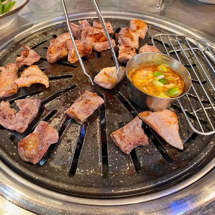 부산갈매기 대표 사진