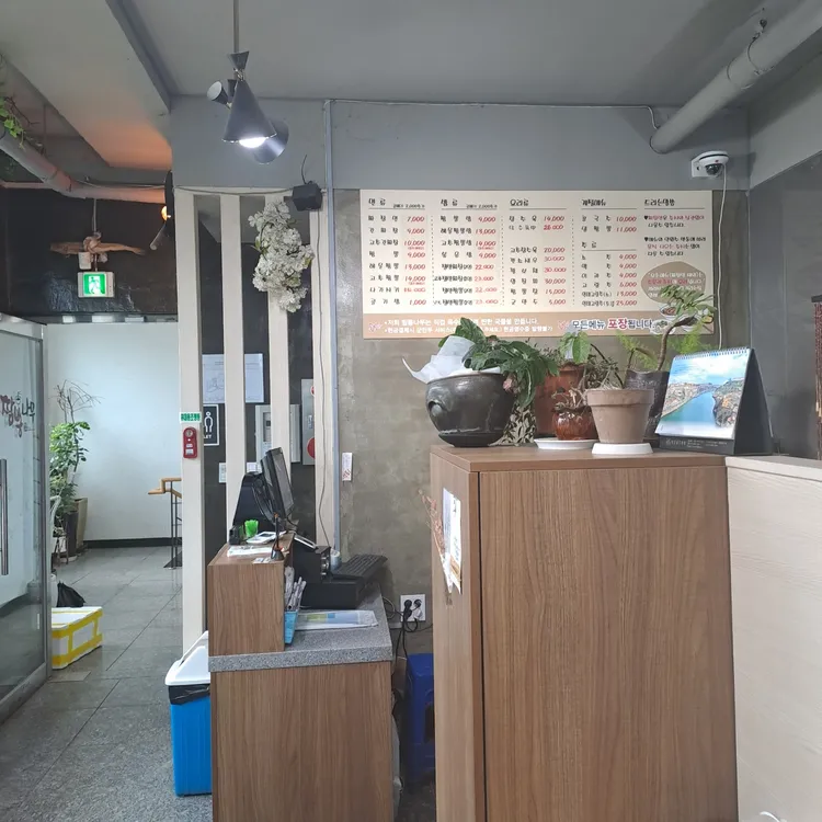 짬뽕나무 대표 사진