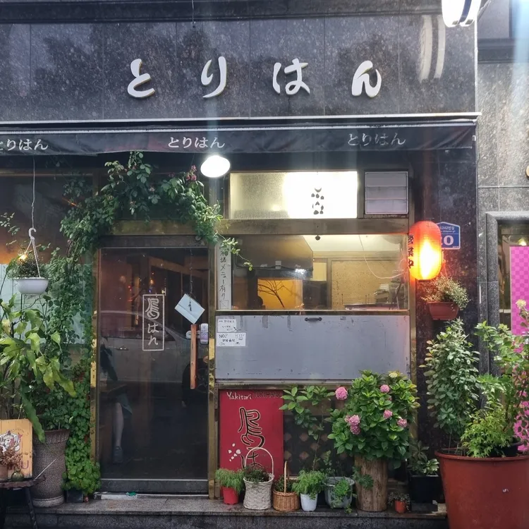 토리향 대표 사진