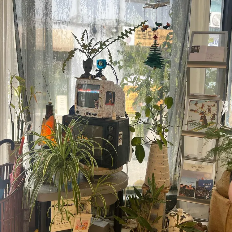 오오 대표 사진