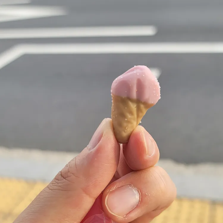 위니비니 대표 사진