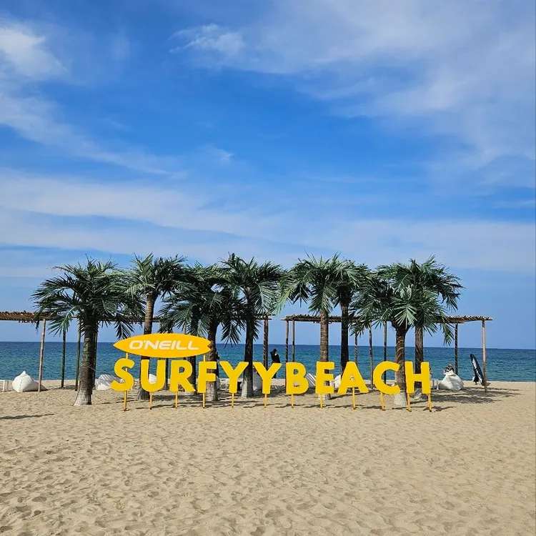 서피비치 선셋바 사진