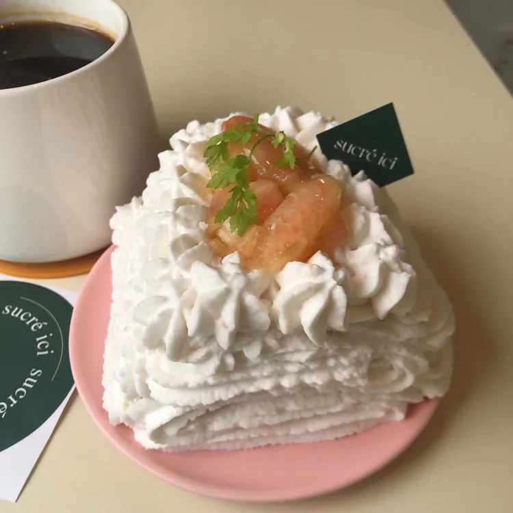 쉬크레이씨 대표 사진