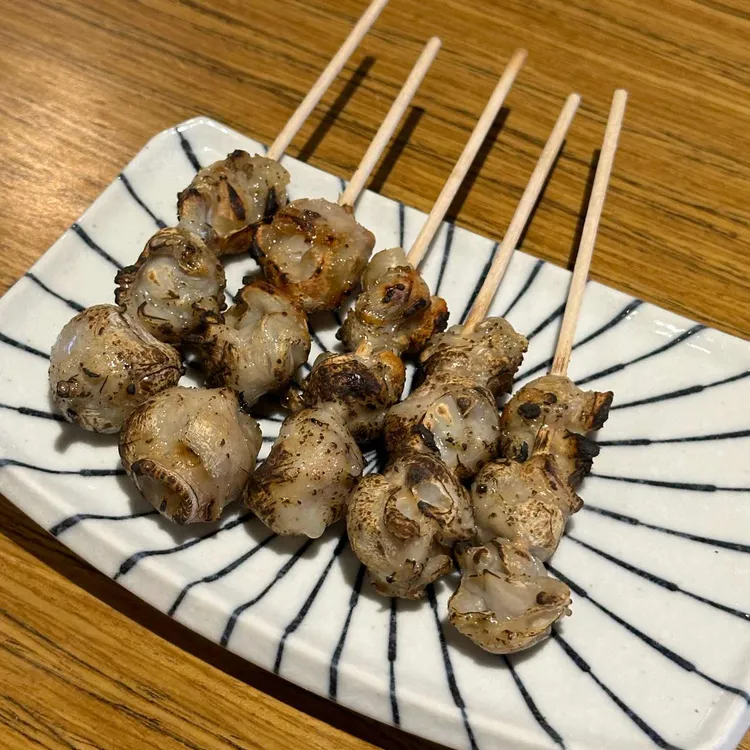 투다리 대표 사진