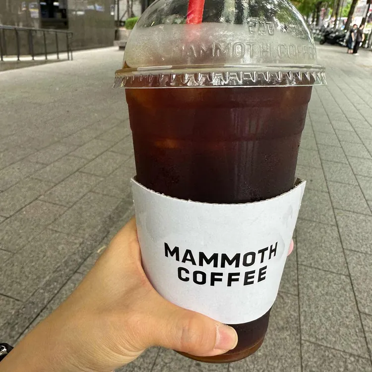 매머드익스프레스 사진 2