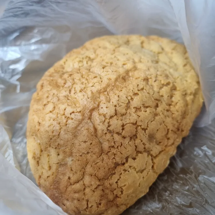 브레댄코 대표 사진
