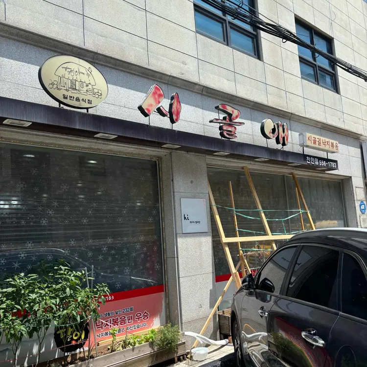 시골애 대표 사진
