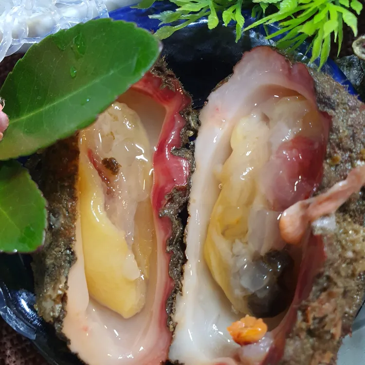 해미원 대표 사진