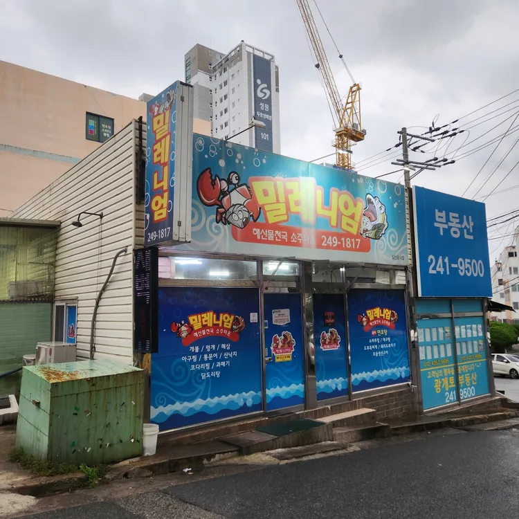 밀레니엄 대표 사진