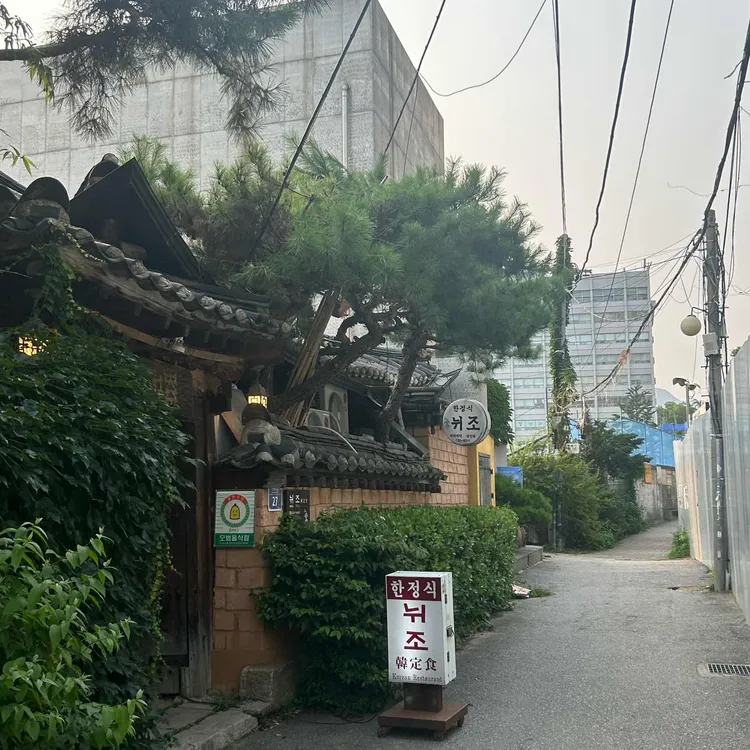 뉘조 사진 2