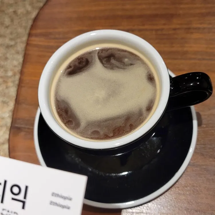브루니치 대표 사진