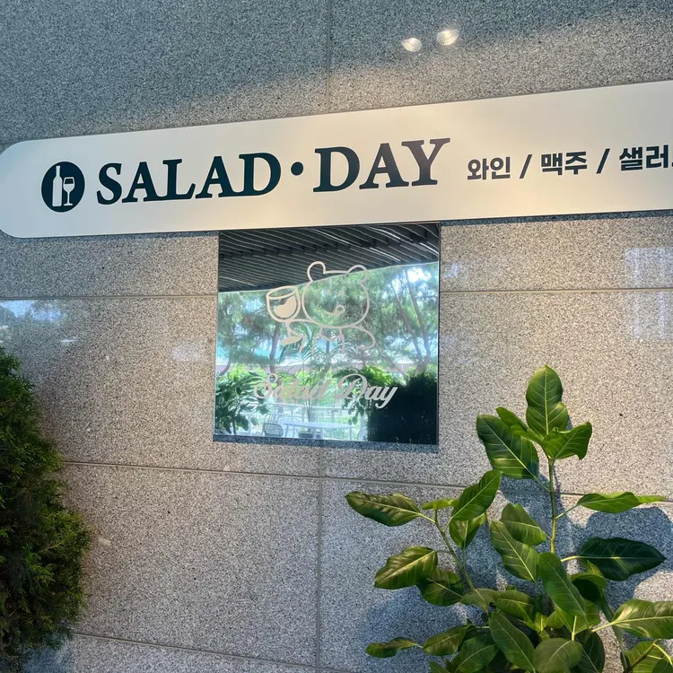 샐요일 대표 사진