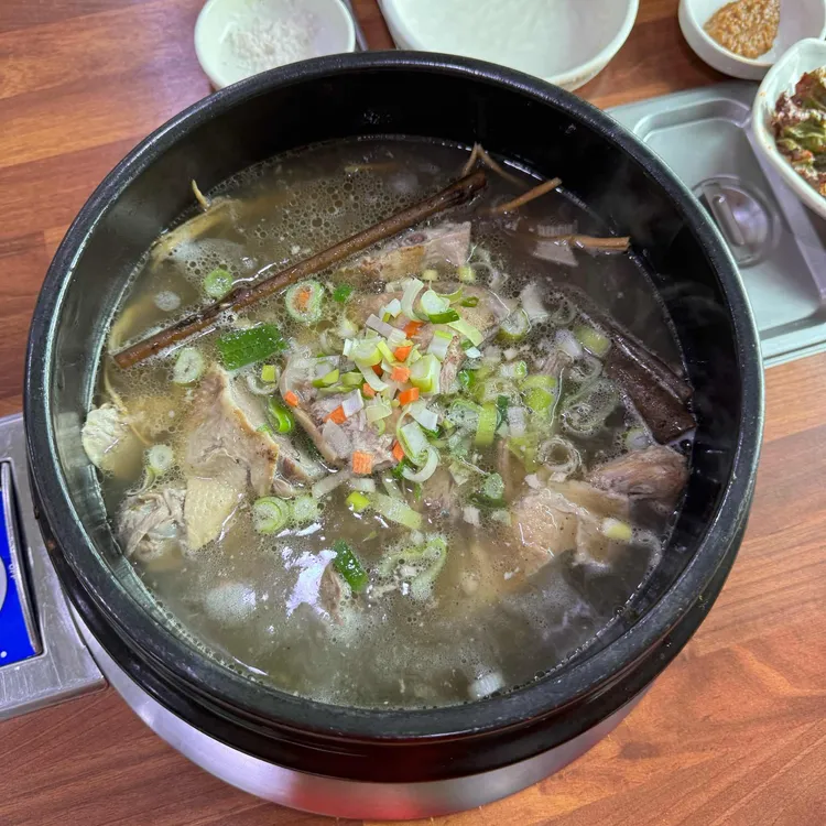 조선오리 대표 사진