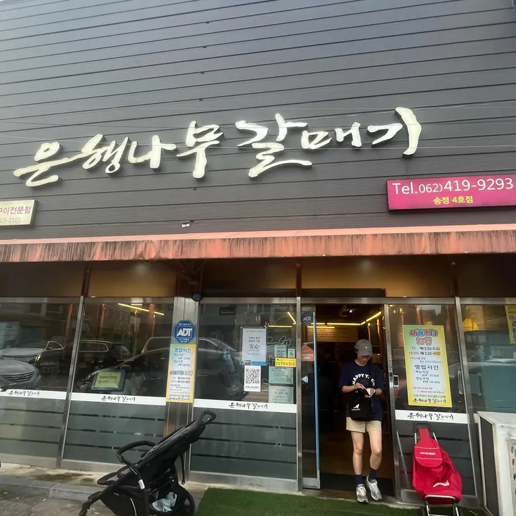 은행나무갈매기 대표 사진
