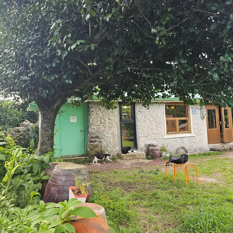 소길다방 대표 사진