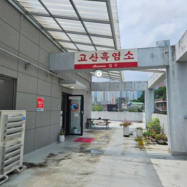 고산흑염소 대표 사진