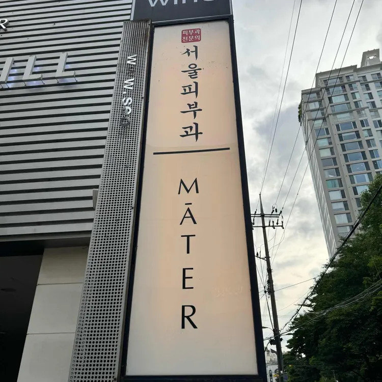 마테르 대표 사진