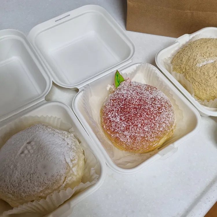 공주당 대표 사진