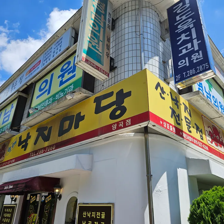 낙지마당 대표 사진