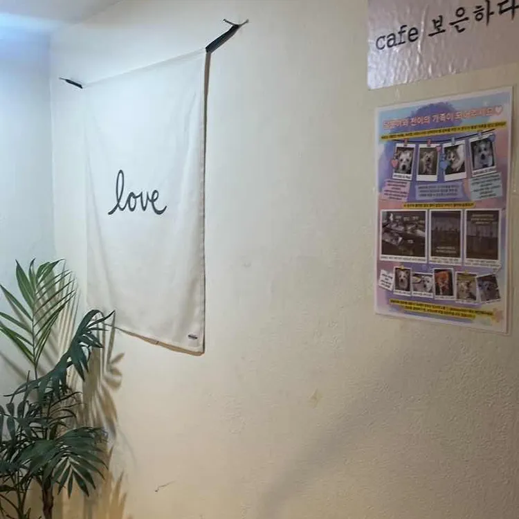 보은하다 대표 사진