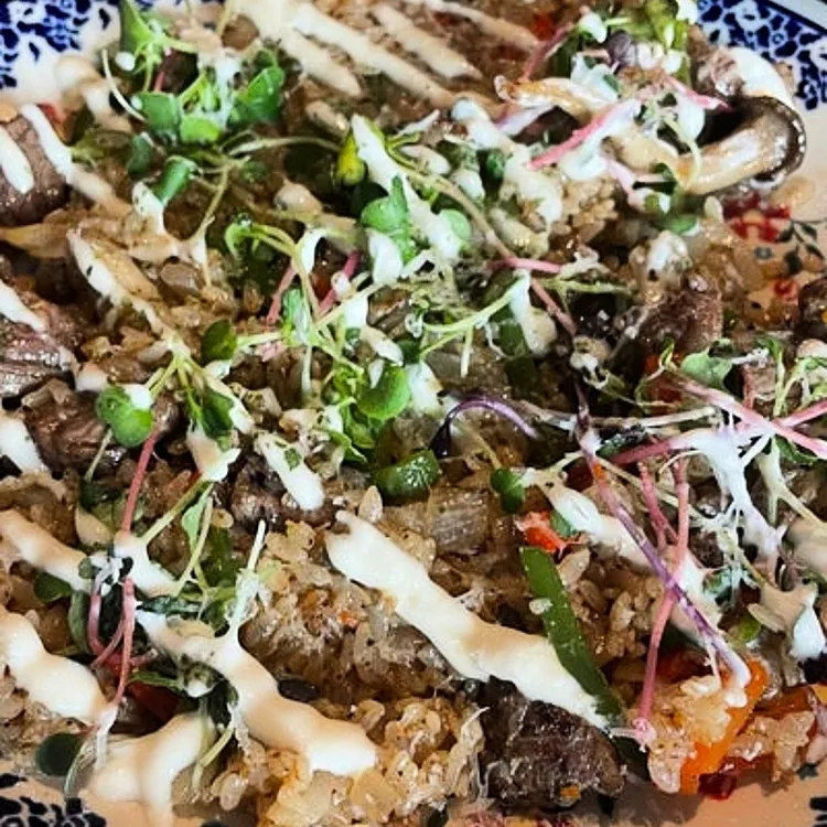 도프셰프 대표 사진