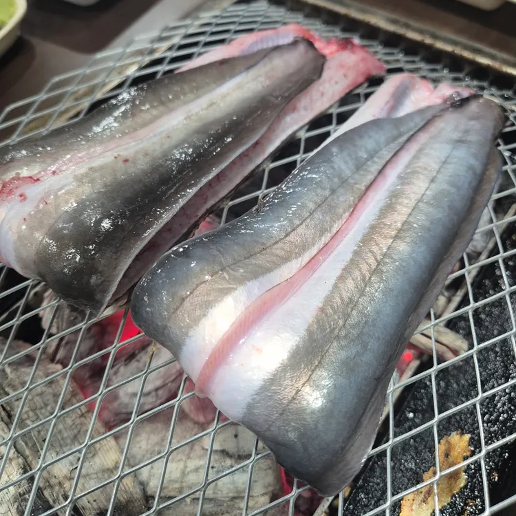 풍천장어 대표 사진