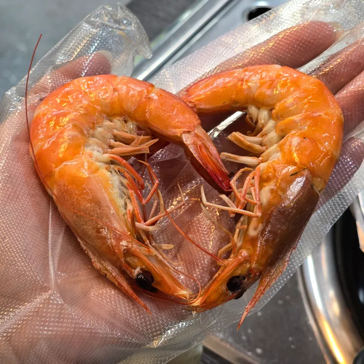 육해공 대표 사진