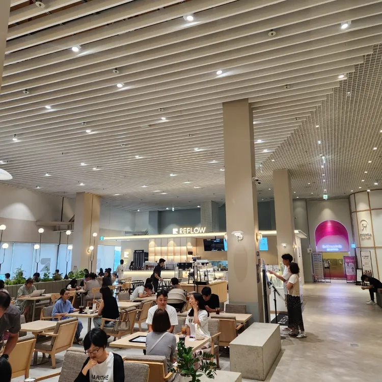리플로우 대표 사진