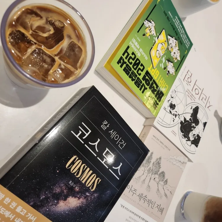 리플로우 대표 사진
