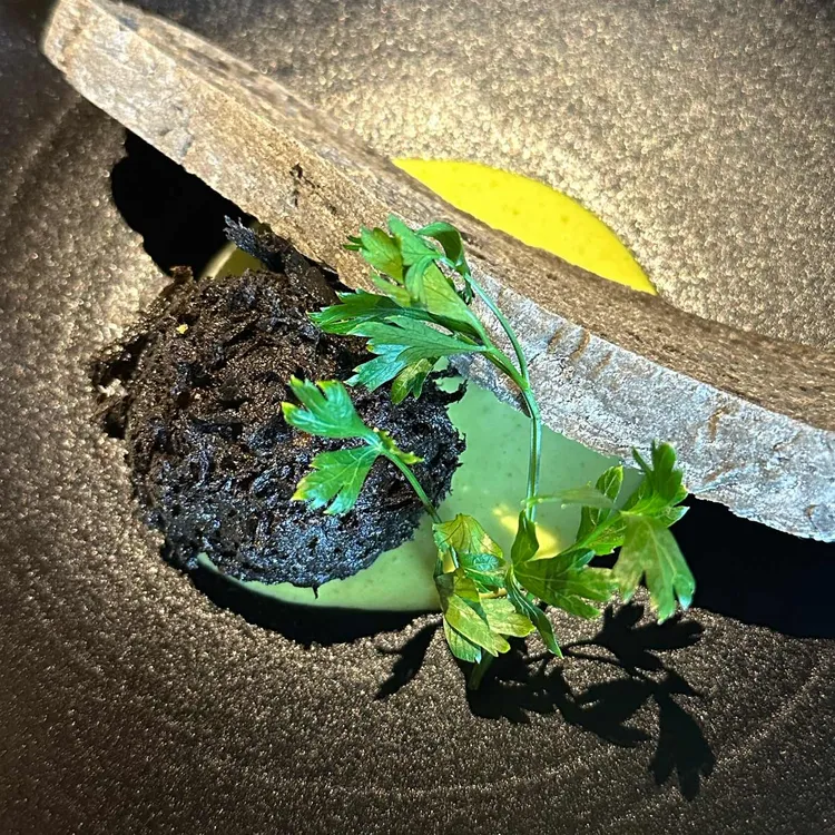 안돈 오마카세 대표 사진