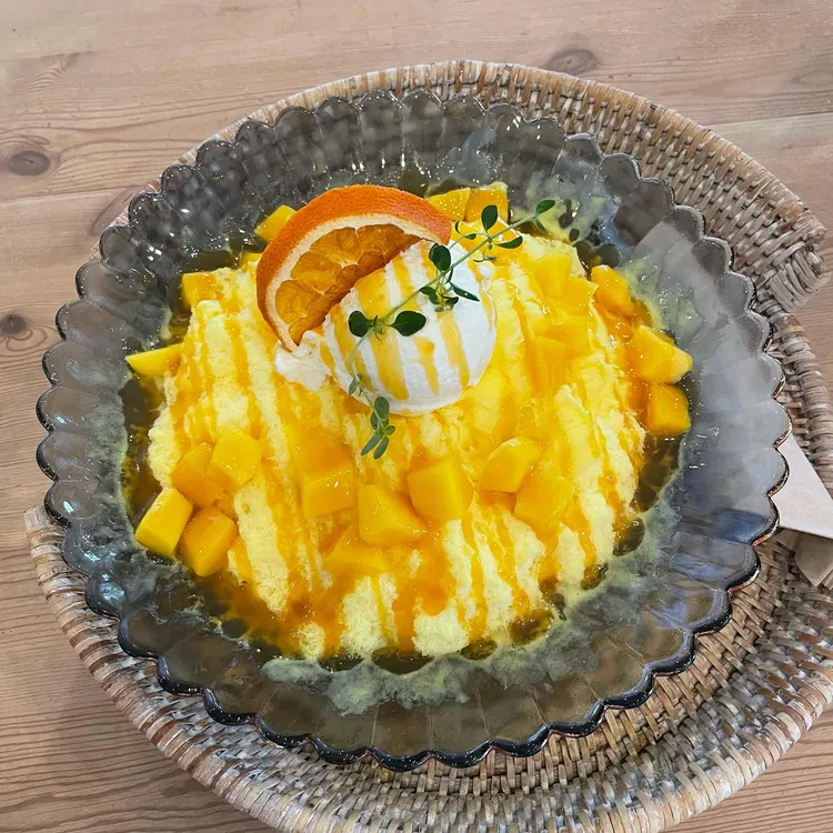 동백에서 대표 사진