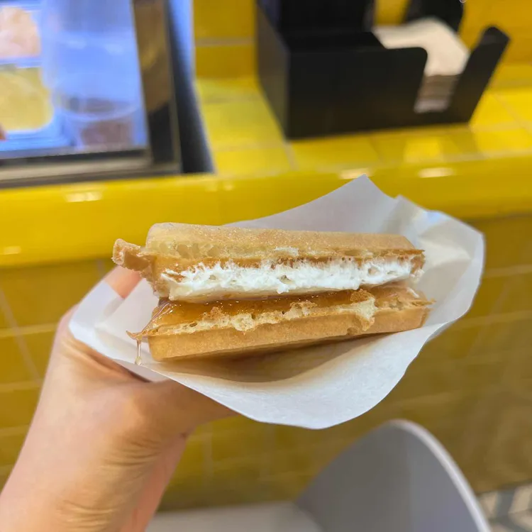 와플대학 대표 사진