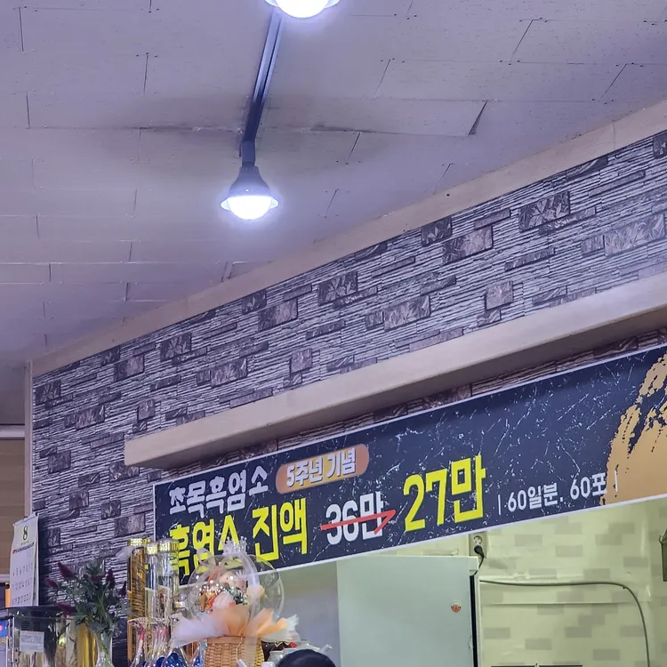 초목 대표 사진