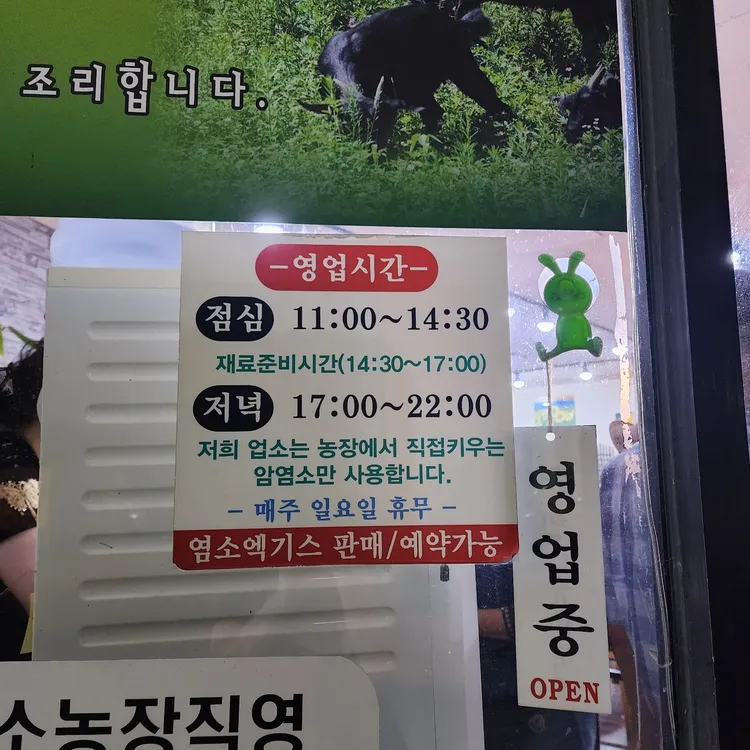 초목 대표 사진