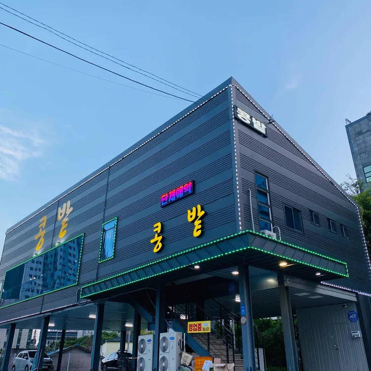 콩밭 대표 사진