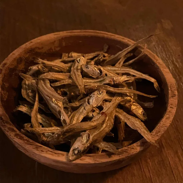 bar 상수리 대표 사진