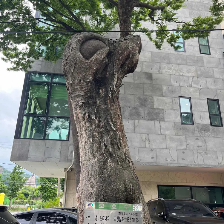 트리앤버드카페 대표 사진