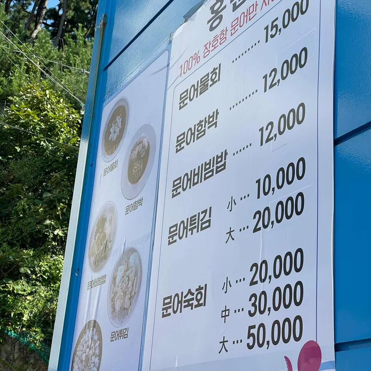 홍문어 대표 사진