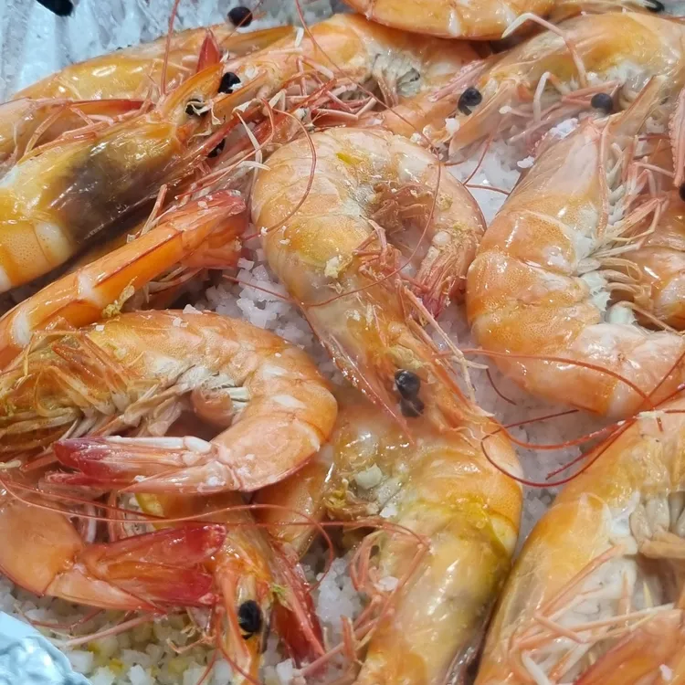 광어9900 대표 사진