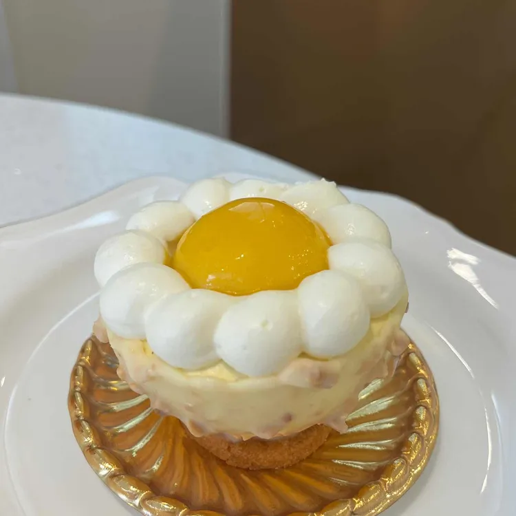 파티시안 대표 사진
