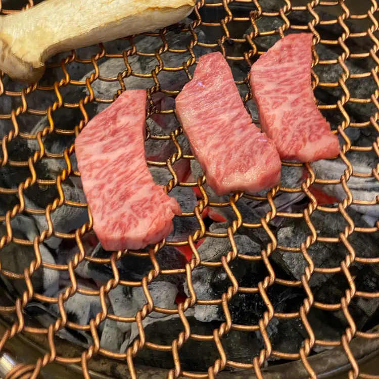 정원 대표 사진