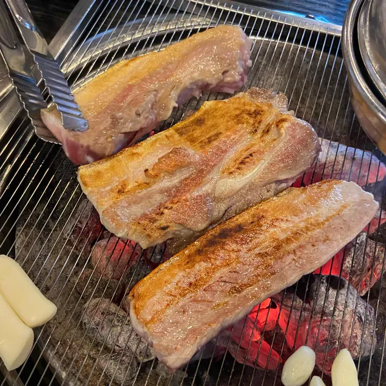 제주퐁낭 대표 사진