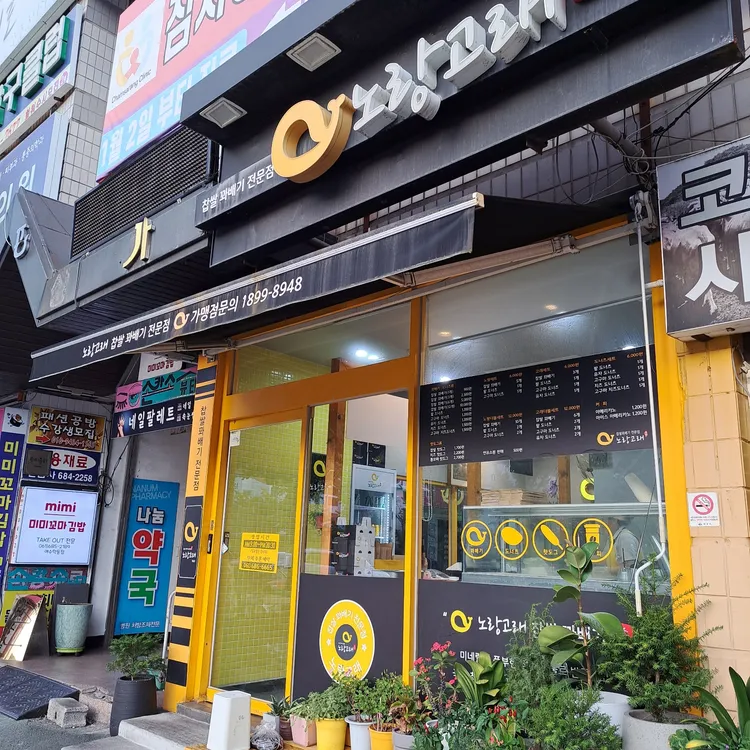 노랑고래 대표 사진