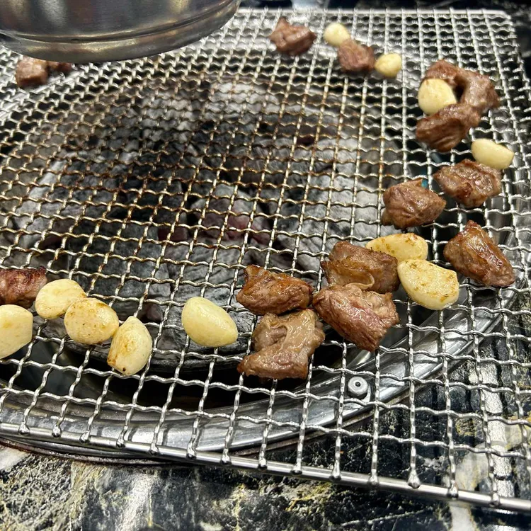 황소고집 대표 사진