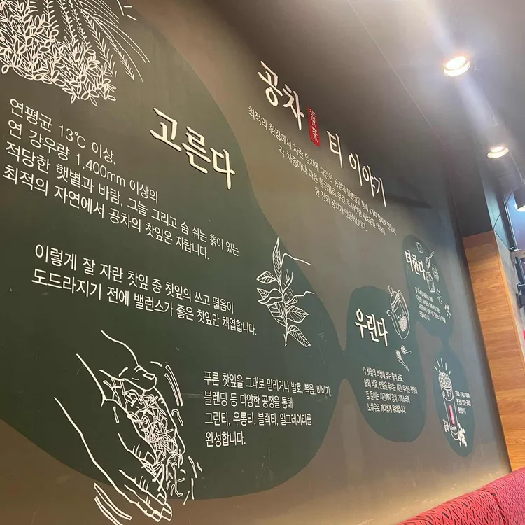 공차 대표 사진