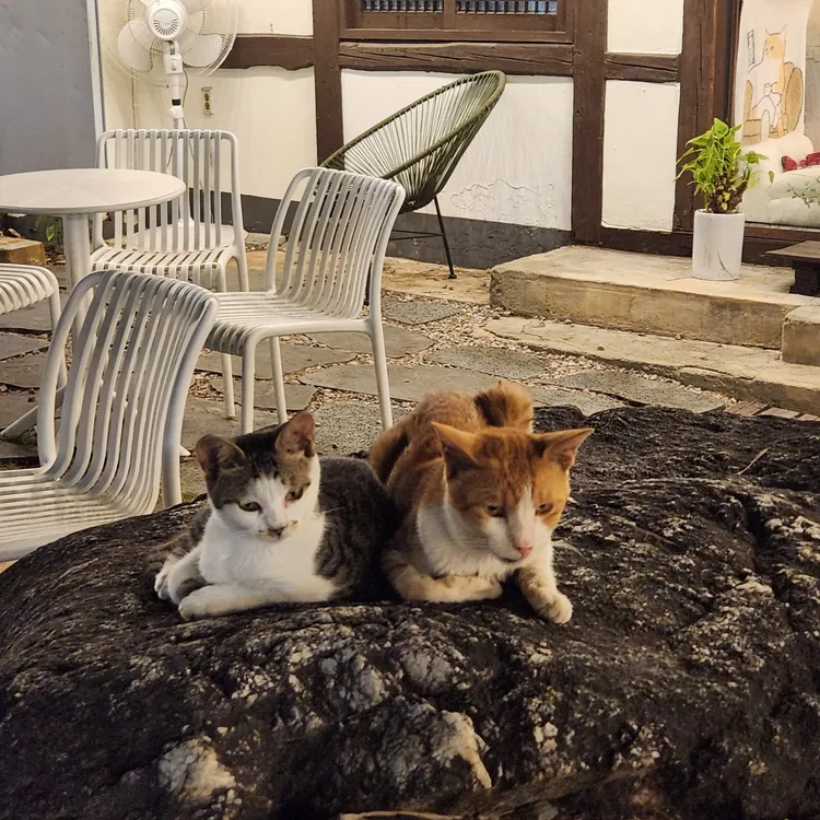 니어앤디어 대표 사진