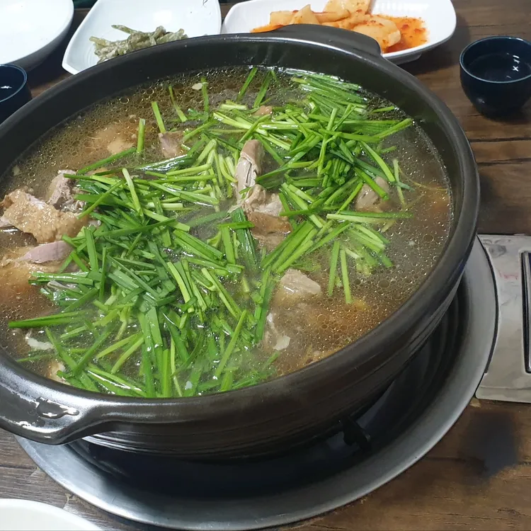 참오리 대표 사진