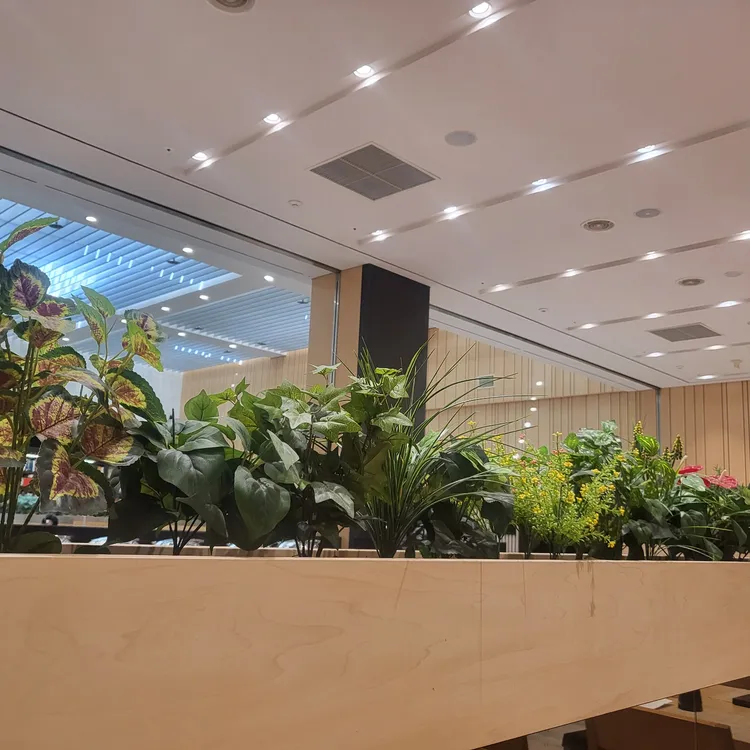 연세백양로 플라자 더라운지 대표 사진