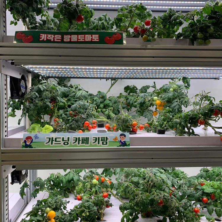 키팜 대표 사진